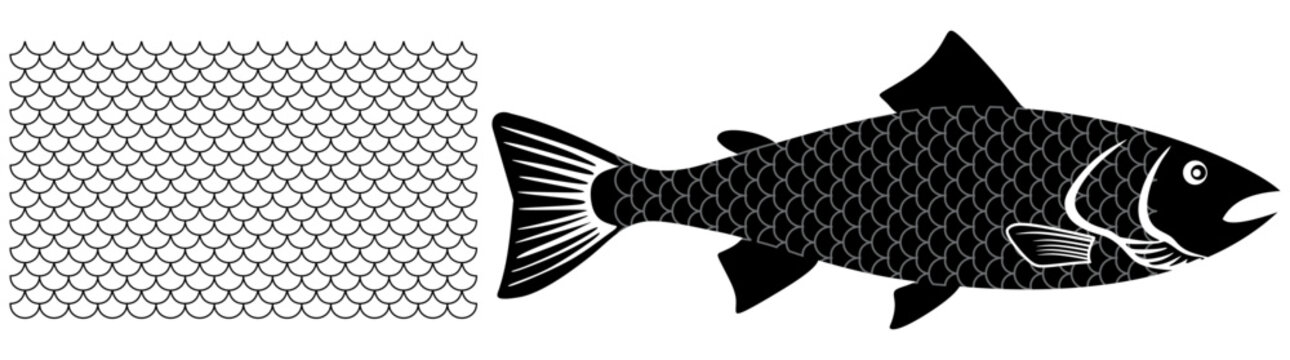 Fish vector icons. Fish, mermaid, dragon scales seamless pattern . Fish illustration. Fishing symbols. Seafood icons