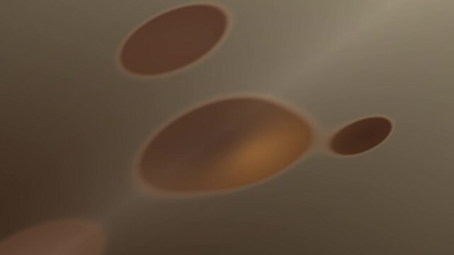 3d rendered illustration of plasma cell