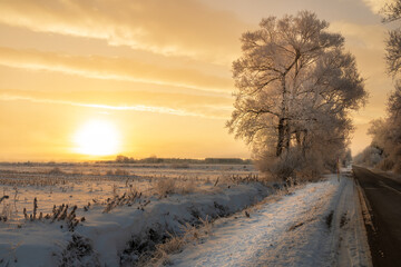 Naklejka premium golden winter sunrise over snowy countryside road