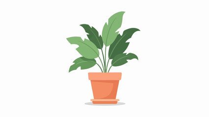 Fototapeta premium A potted plant with large green leaves stands on a saucer