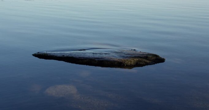 wide shot of lake Windermere water lapping over a flat stone rock
