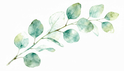 Fototapeta premium Simple Leaf Clear Leaves isolated watercolor vector illustration svg