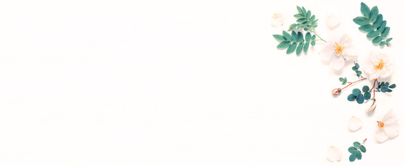 Obraz premium Spring flower background with composition made of white rose flowers. Flat lay, top view, space for text