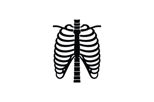Human skeleton ribs anatomy science biology medicine organ chest bone halloween symbol black on white background