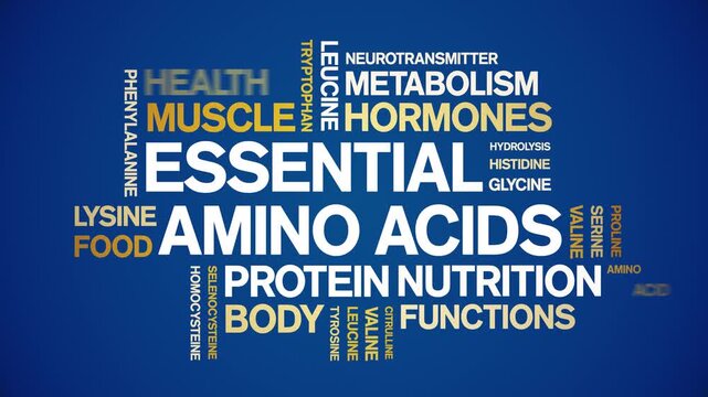Essential Amino Acids animated word cloud-text design animation tag kinetic typography seamless loop.