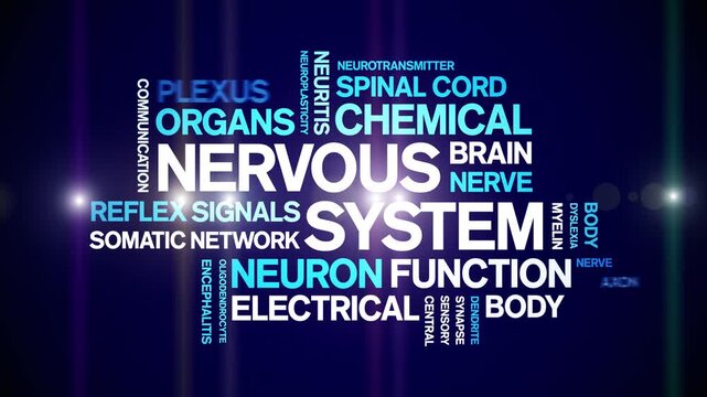 Nervous System animated word cloud-text design animation tag kinetic typography seamless loop.