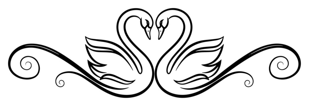 Stylized illustration of two swans forming a heart shape with elegant swirls