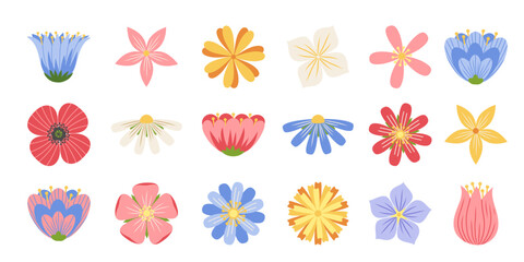 Fototapeta premium Set of vintage simple wildflowers. Minimal vector illustration of spring delicate flowers isolated on white background. Flowers icons collection