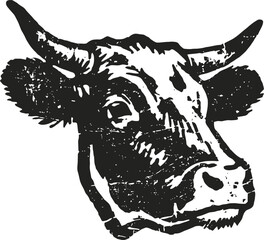 Cow head illustration in black and white, vintage farm animal drawing