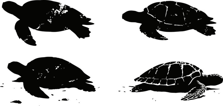Silhouettes of sea turtles swimming and crawling on the ocean floor, marine wildlife collection