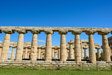 Fototapeta premium Robust Doric columns of the ancient Basilica at Paestum, Italy, form a striking linear pattern against a vivid blue sky. The weathered stone structure rises above open grassy grounds, highlighting