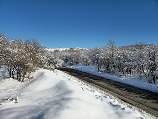 Obraz premium Snow-covered road winding through winter forest under clear blue sky, capturing seasonal tranquility and natural beauty. 📍Marivan, Kurdistan 