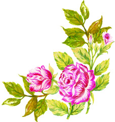 watercolor gouache elegant vintage garden flower hand painted