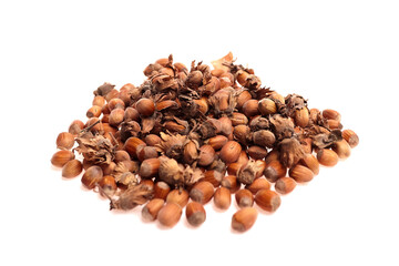 Pile of hazelnuts with shells and husks scattered on a white background, showcasing the natural texture and color variations of this popular nut variety