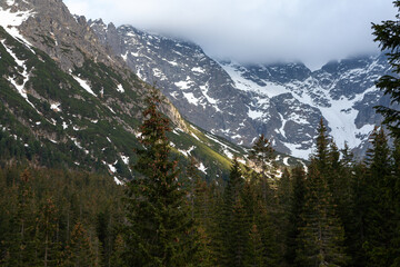 Tatra Mountains landscape in Poland featuring snow-capped peaks, dense coniferous forest, and dramatic cloud formations under a clear sky