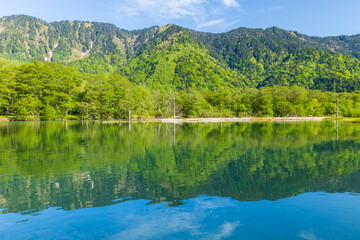 日本の風景・初夏　長野　新緑の上高地　大正池