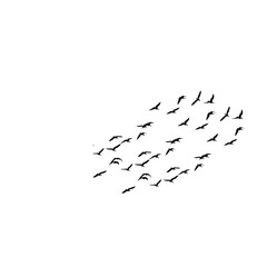 Silhouette of a large flock of birds flying together in a dense formation. Perfect for nature-themed backgrounds, environmental conservation posters, and migratory bird concepts.