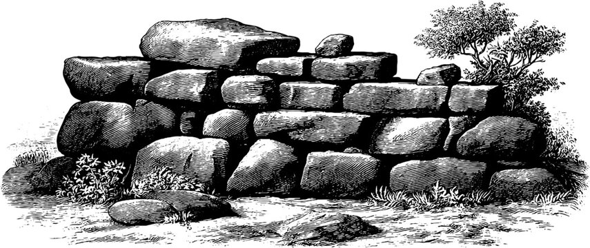 Vintage botanical sketch of rusticated stone wall with 19th century engraving detail