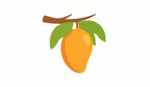 Tropical mango fruit on tree flat vector natural illustration isolated on white