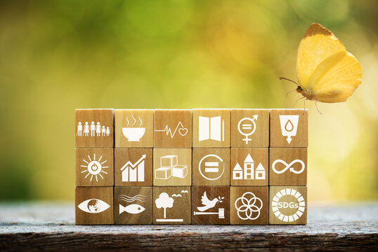 SDGs text on wood and icons on natural background.