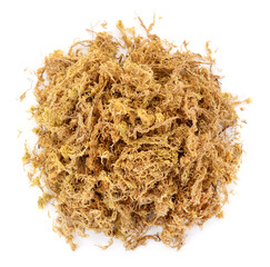 Heap of dry sphagnum moss isolated on white background