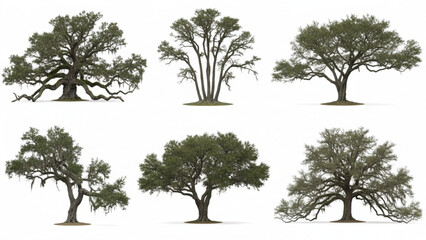 Fototapeta premium Collection of diverse tree silhouettes in various shapes and sizes