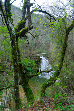Waterfalls of the Hijuela River in Irus, in the Mena Valley. Merindades region. Burgos. Castile and Le&oacute;n. Spain. Europe