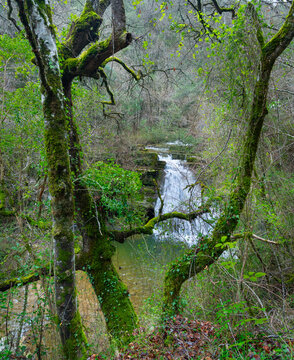 Waterfalls of the Hijuela River in Irus, in the Mena Valley. Merindades region. Burgos. Castile and Le&oacute;n. Spain. Europe