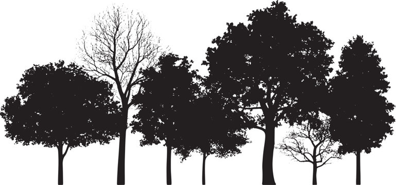 A horizontal row of dense black tree silhouettes depicts an idealized forest line suitable for creating landscape backdrops in graphic design projects.
