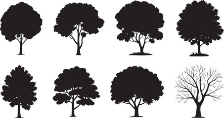 Eight tree silhouettes illustrating deciduous foliage variation including one bare branching specimen against a plain white background.