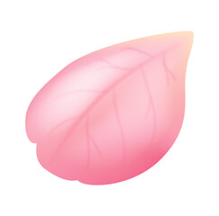 Single realistic pink rose petal isolated on white background. Perfect for floral design, beauty branding, cosmetic packaging and romantic compositions.