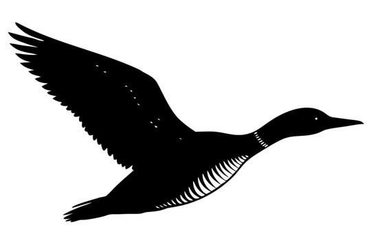 flying loon black silhouette vector, flying loon icon