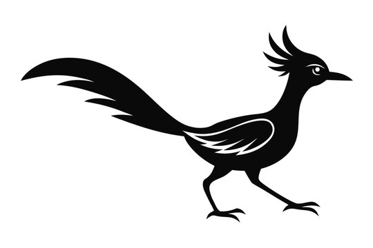 roadrunner bird icon vector, roadrunner bird  silhouette vector