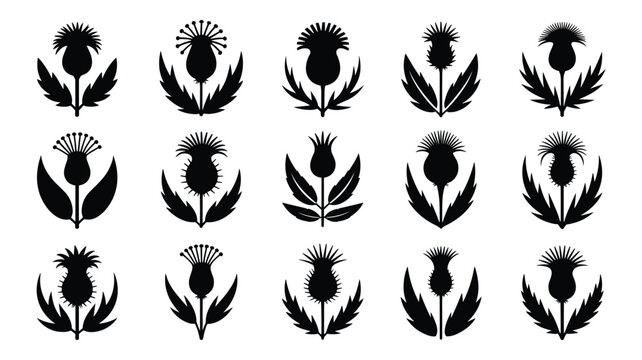 Collection of keywords: black thistle flower silhouettes on white background