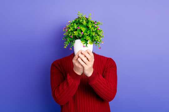 Young man in red sweater covers face with plant head against purple background creating a quirky lifestyle and fashion moment