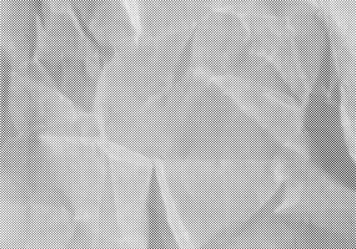 Halftone dot texture with wrinkles and subtle surface creases, abstract monochrome pattern. Graphic