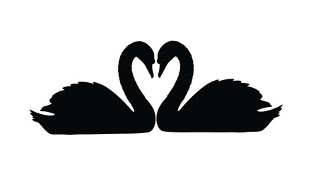 Two black swans forming a heart shape a symbol of love and devotion © MdMojiburRahman