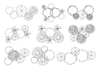 Architectural Drawings, Minimal style cad vegetation line drawing top view. for landscape plan and architecture layout drawing, elements for environment and garden. © Moncia