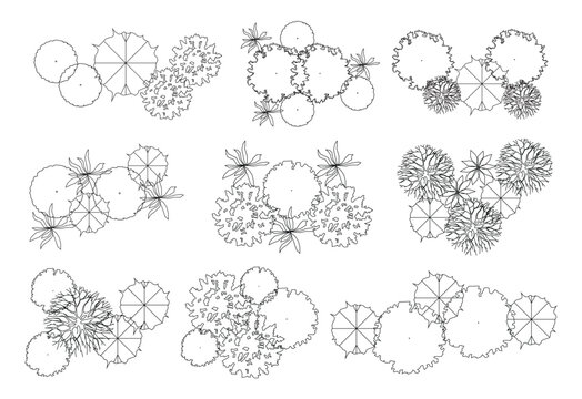 Architectural Drawings, Minimal style cad vegetation line drawing top view. for landscape plan and architecture layout drawing, elements for environment and garden.