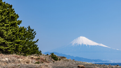 三保松原から富士山の眺め