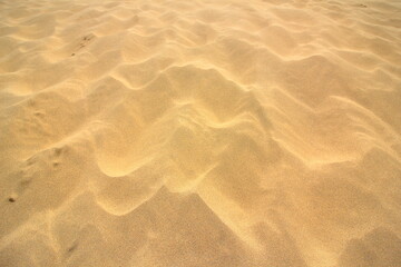 サラサラ砂の風紋