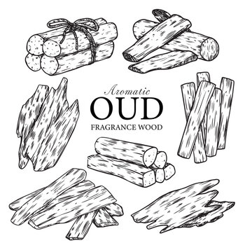 Sat of hand drawn aromatic oud fragrance woods outline drawing vector illustration