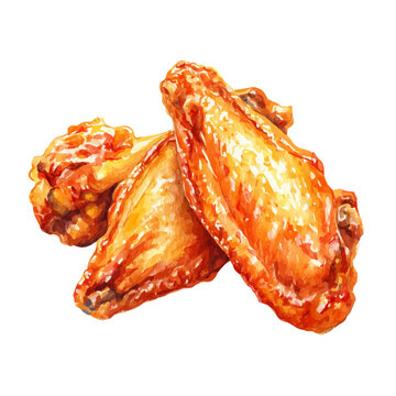 Buffalo Wings watercolor drawing vector, premium quality illustration on a clean white background.