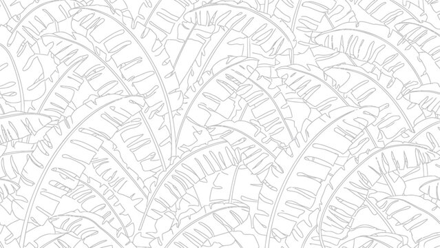 Detailed illustration of overlapping palm fronds in a seamless pattern on a white background