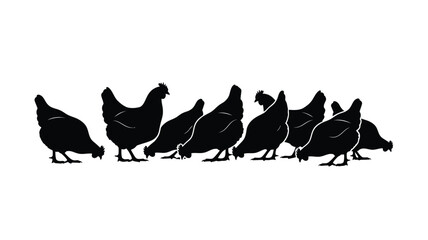 A line of chickens foraging a striking black and white silhouette