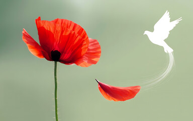 Red poppy flower with falling petal and white bird