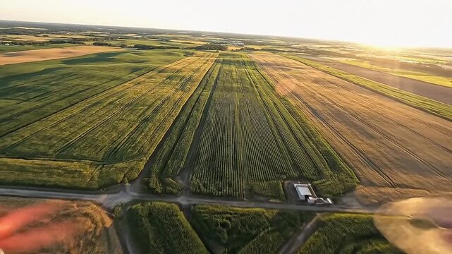 Aerial view of a spiral field pattern