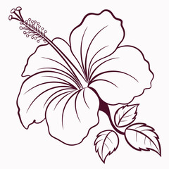 Illustrated hibiscus flower