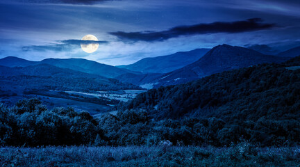 mountainous countryside scenery surrounded with forested rolling hills at night. rural area peaceful landscape with dark sky in full moon light. early autumn weather. mysterious fresh air environment © Pellinni