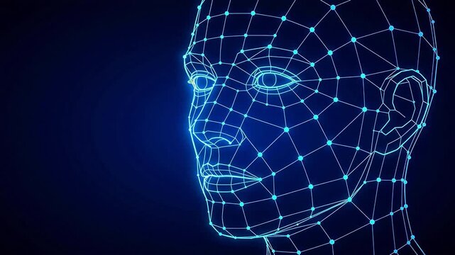 Digital wireframe human head